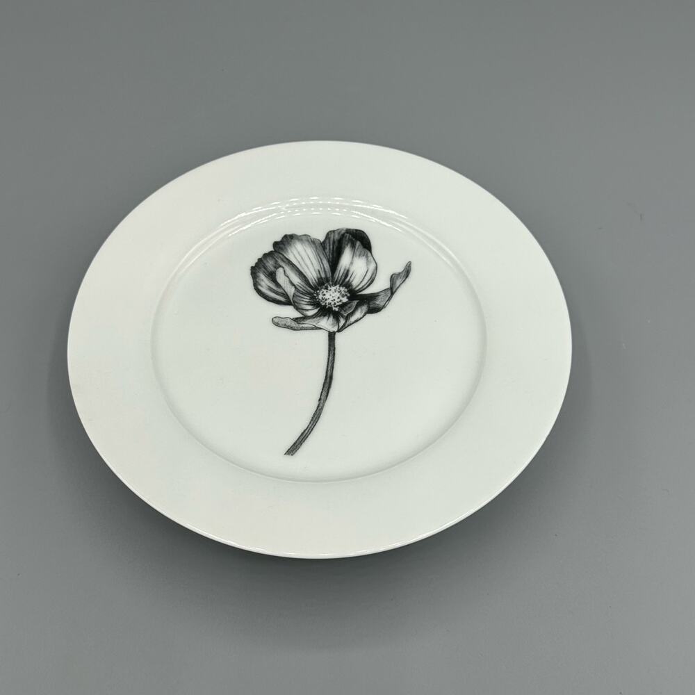 Set/6 Stella Pattern by Spode Home  Salad Plates Contemporary Black & White
